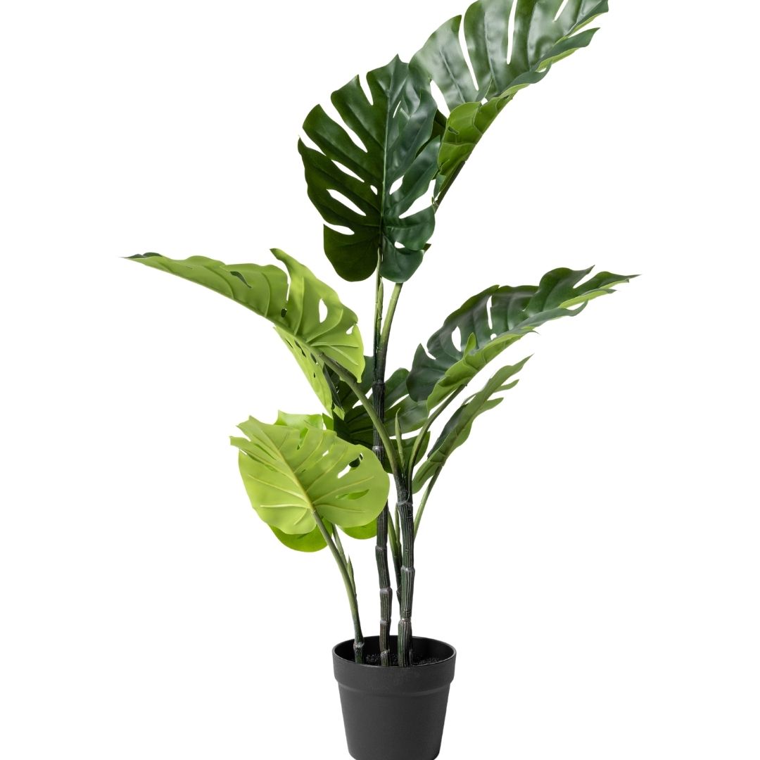 MK166 MONSTERA 90CM