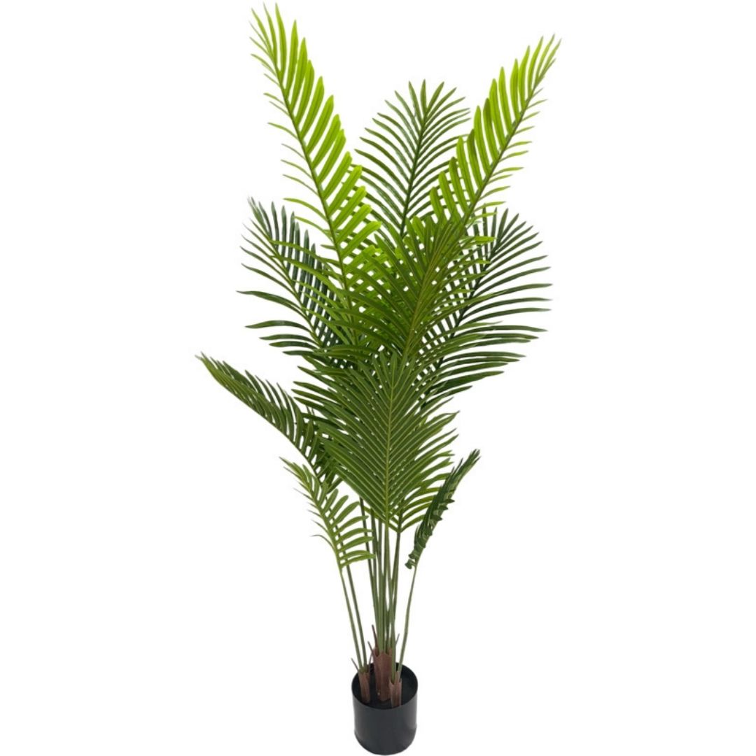 MK170 PALMERA 180CM (5)