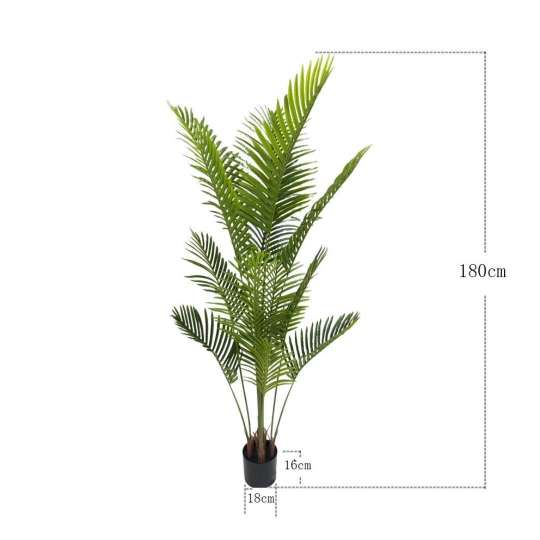 MK170 PALMERA 180CM (6)