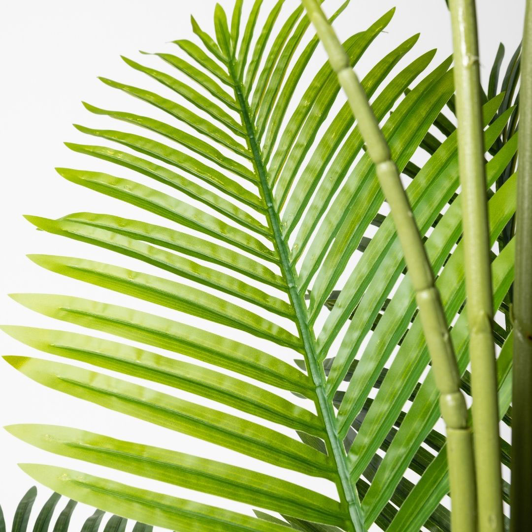 MK170 PALMERA 180CM (7)