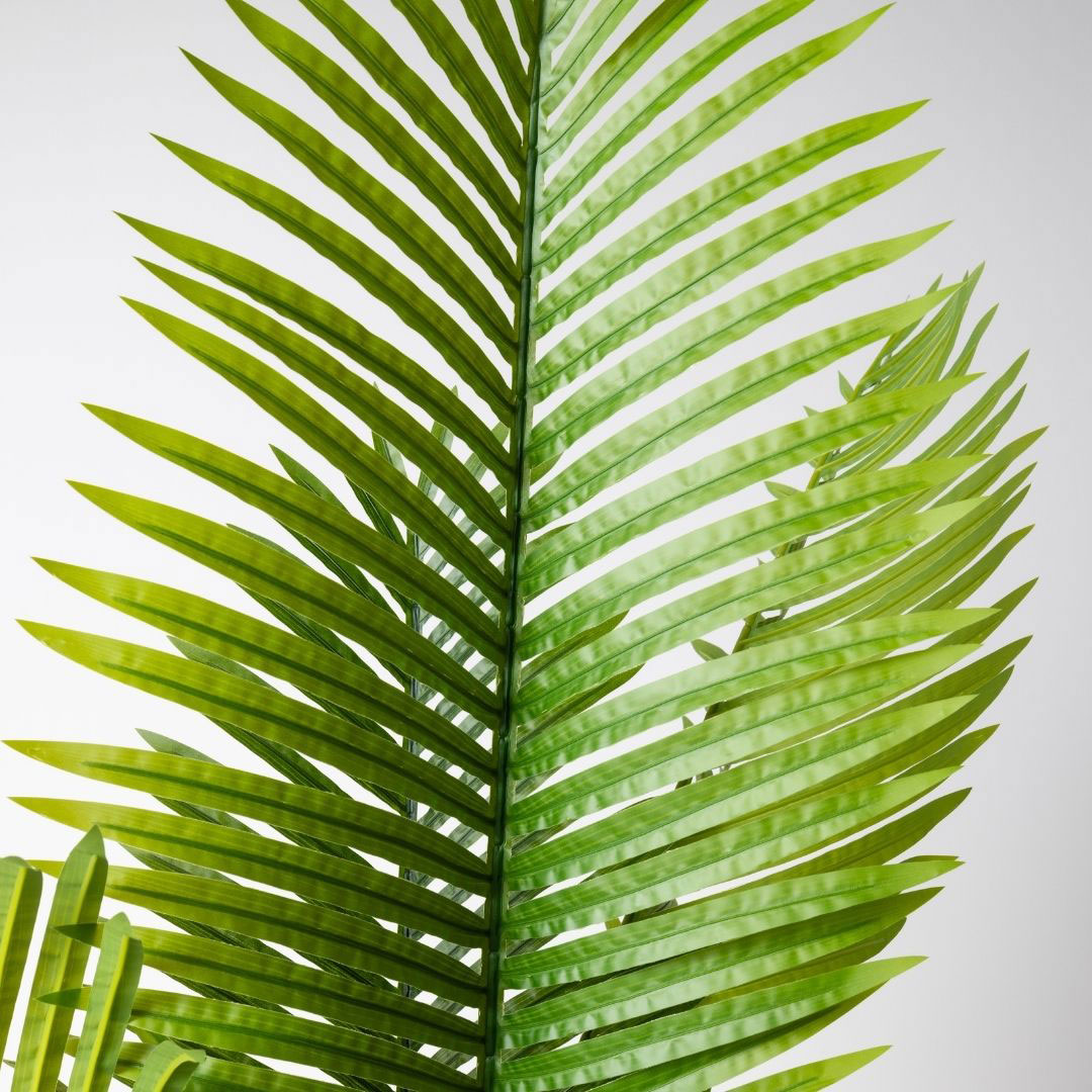 MK170 PALMERA 180CM (8)