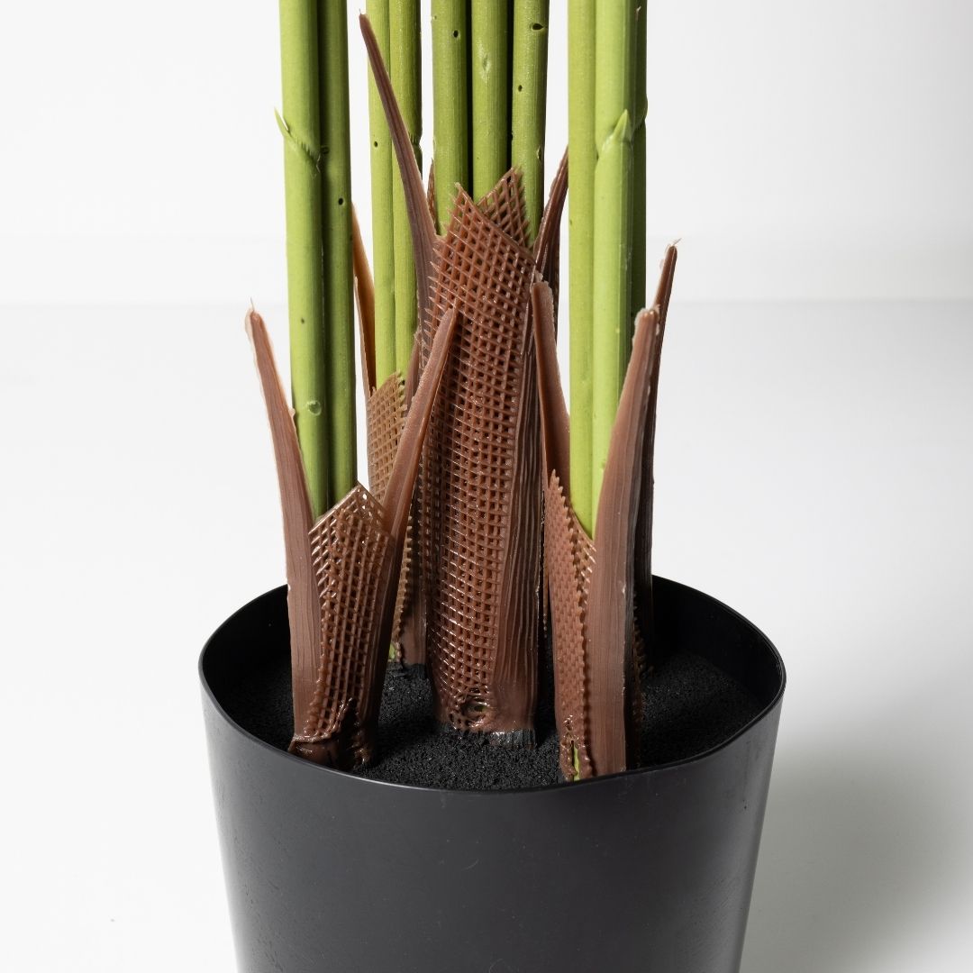 MK170 PALMERA 180CM (9)