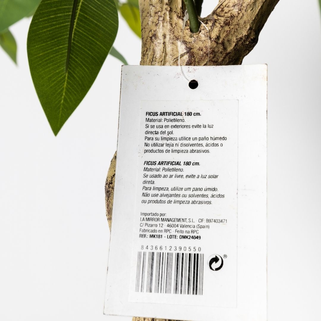MK181 FICUS 180CM