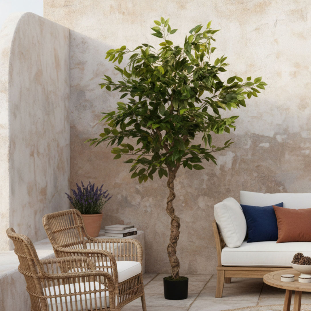 MK181 FICUS 180CM 27