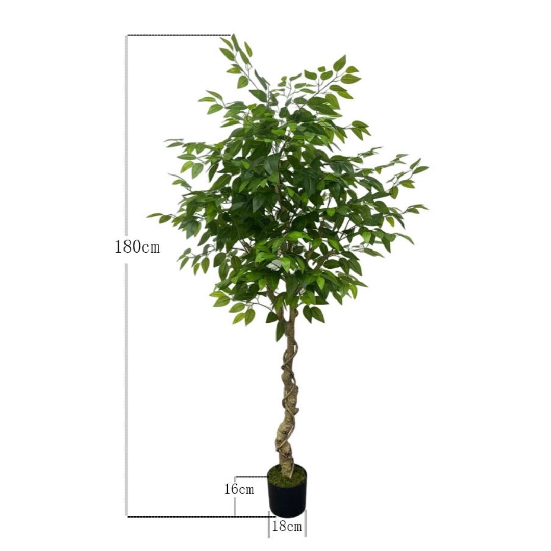 MK181 FICUS 180CM