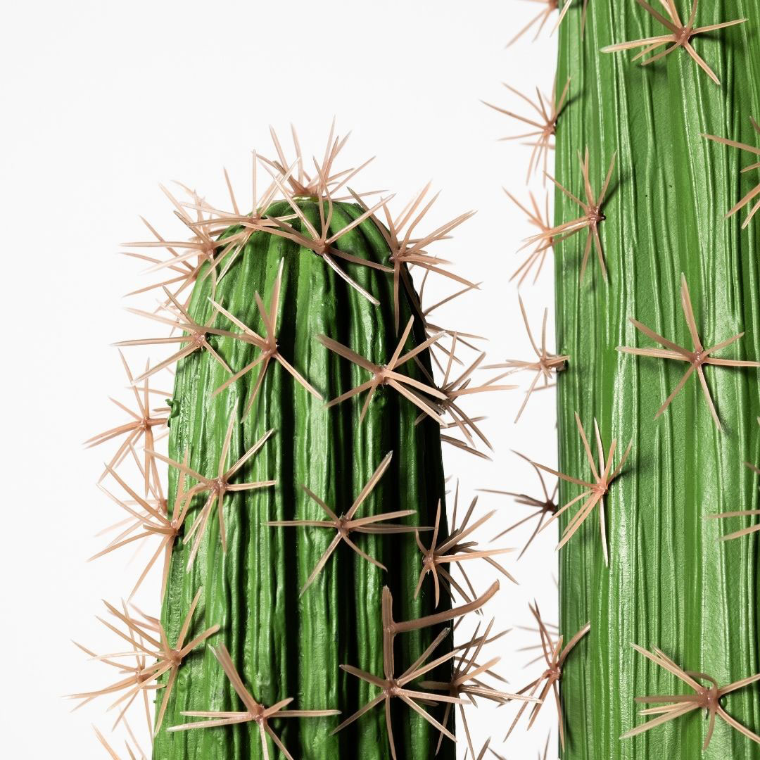 MK184 CACTUS LARGO 148CM