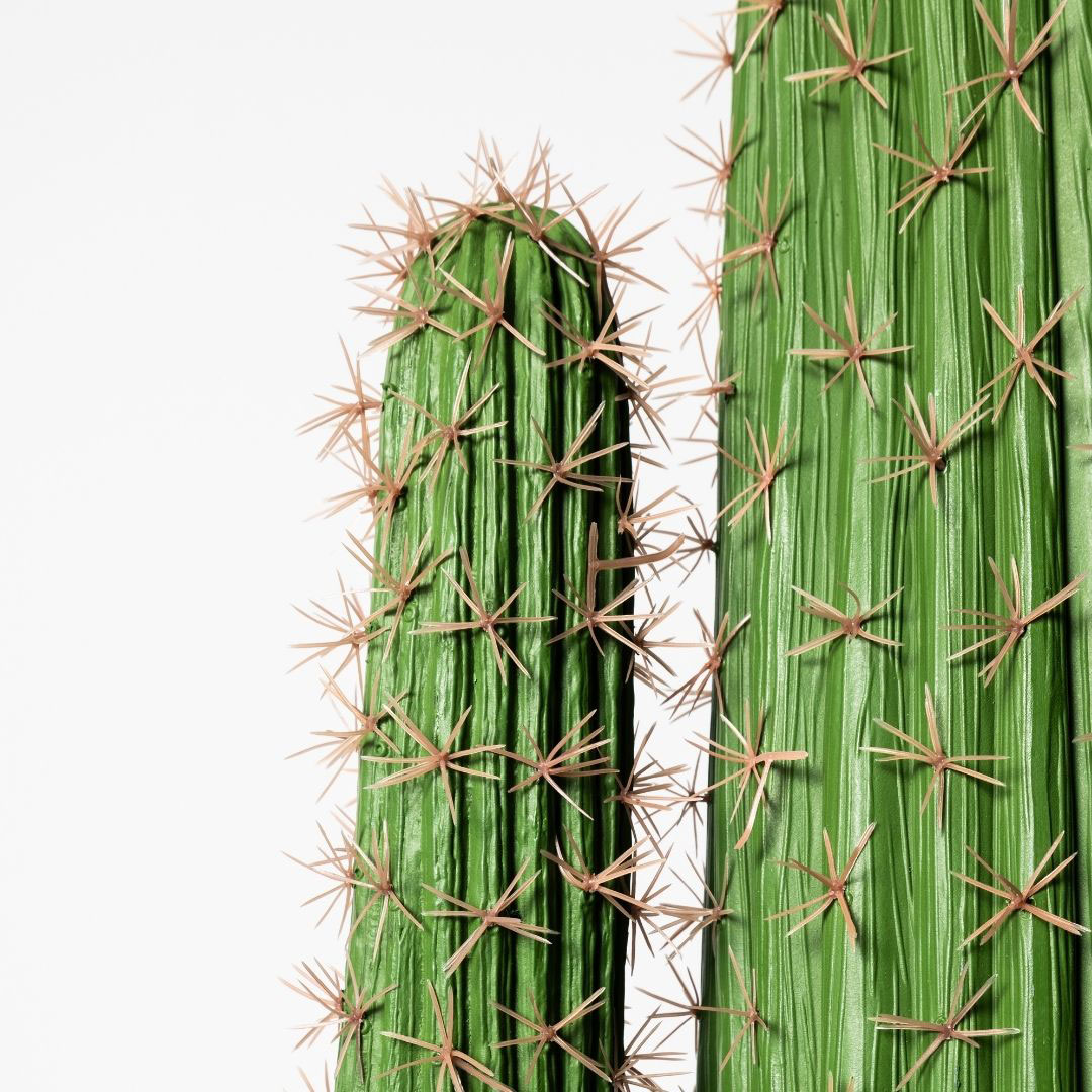 MK184 CACTUS LARGO 148CM