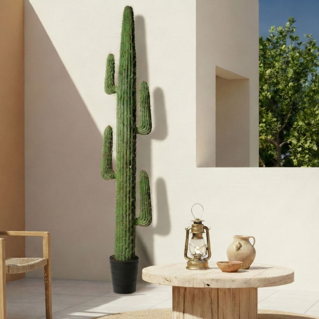 MK186 CACTUS LARGO 209CM 02