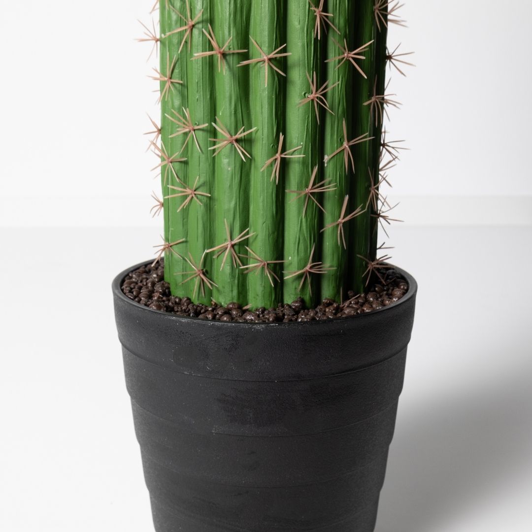 MK186 CACTUS LARGO 209CM