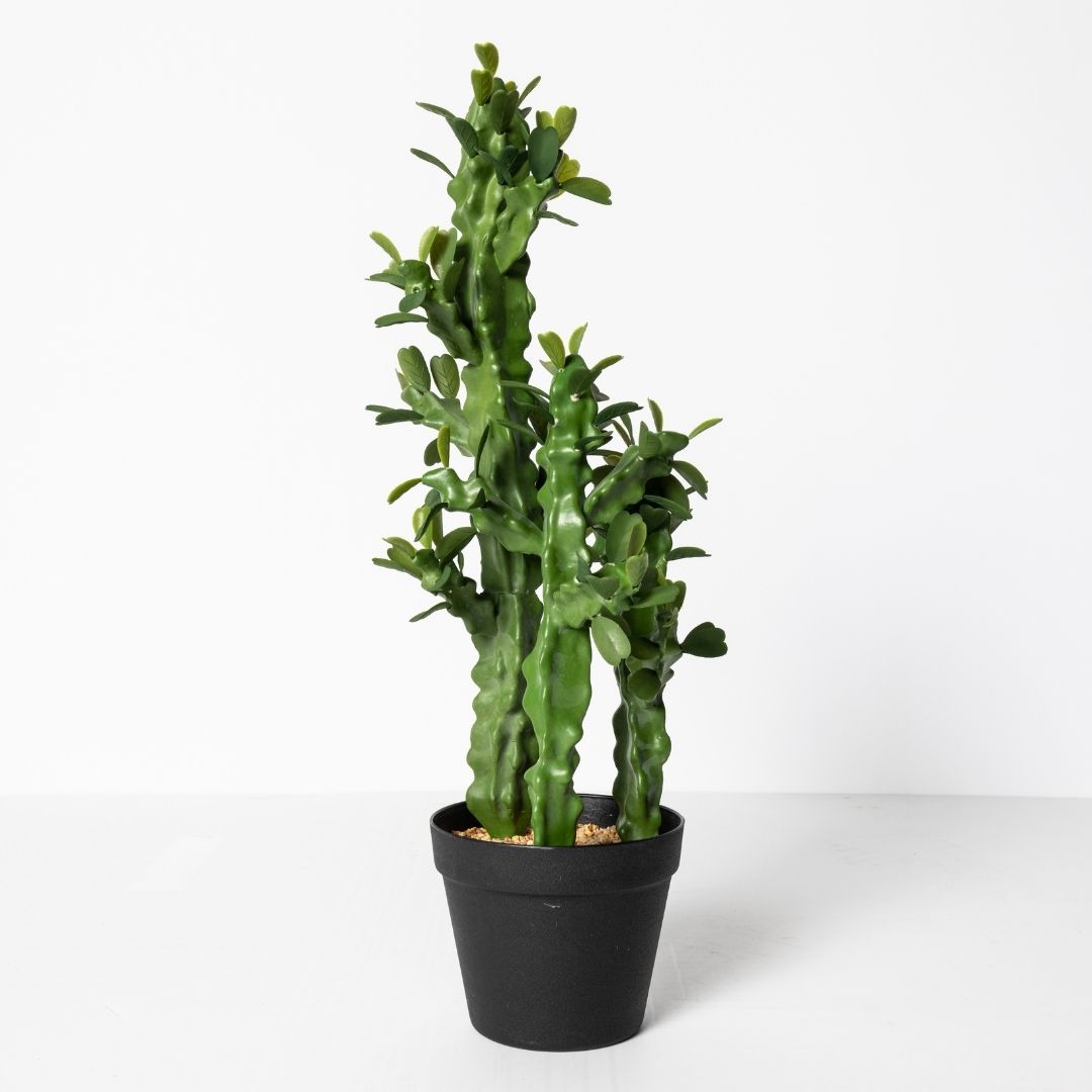 MK191 CACTUS FLORES 63CM