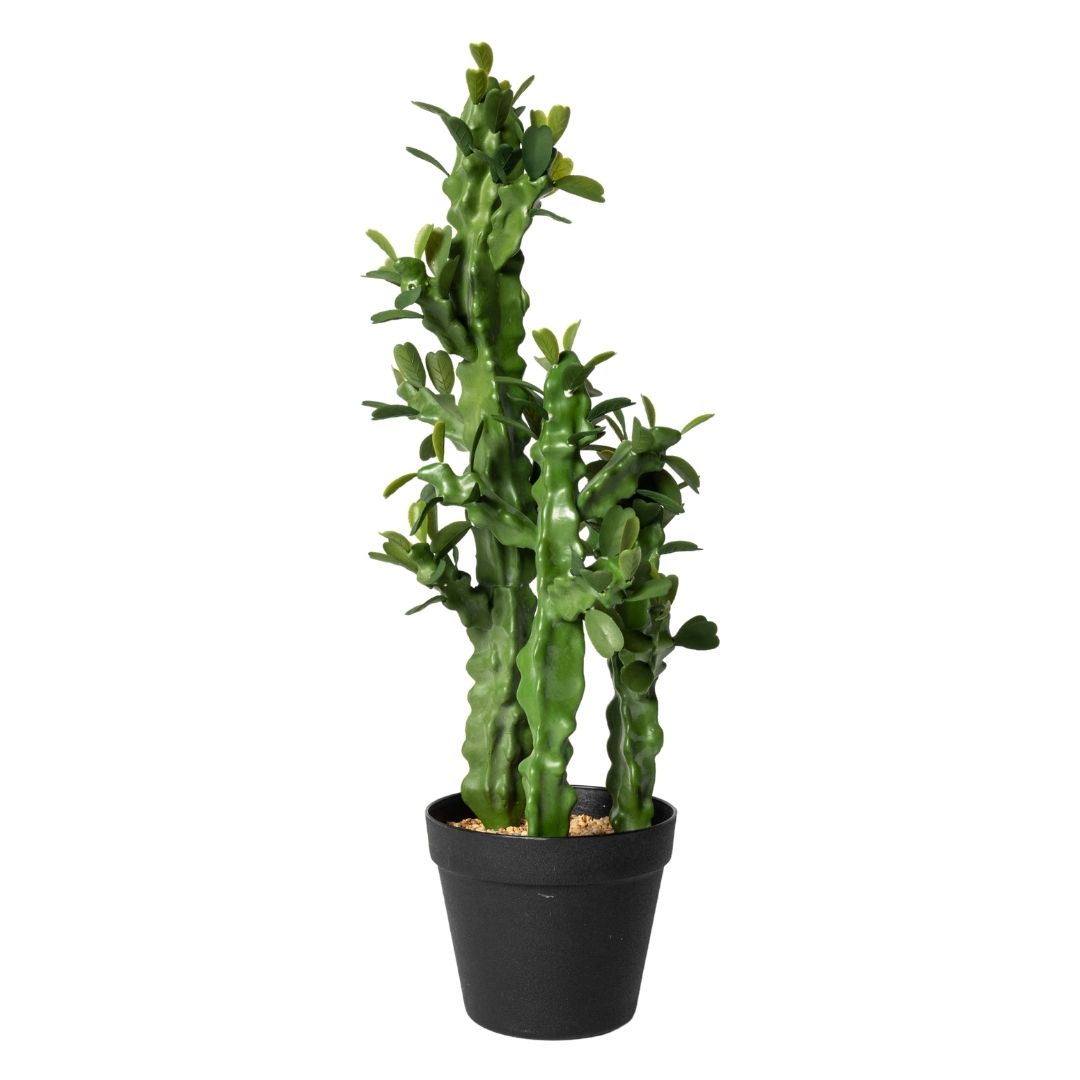 MK191 CACTUS FLORES 63CM