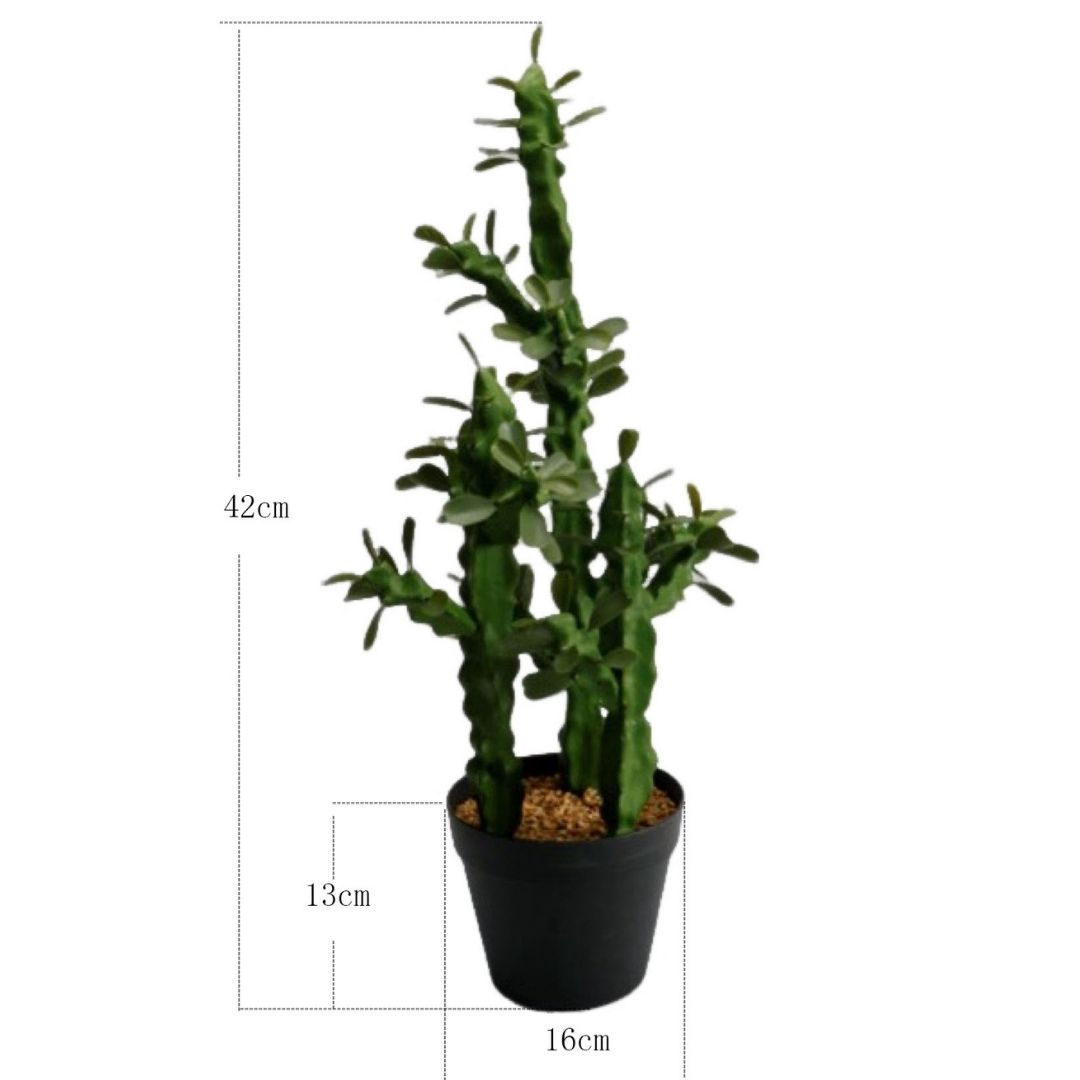 MK191 CACTUS FLORES 63CM