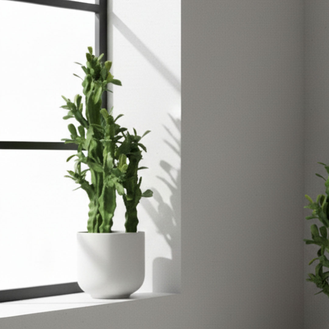 MK191 CACTUS FLORES 63CM