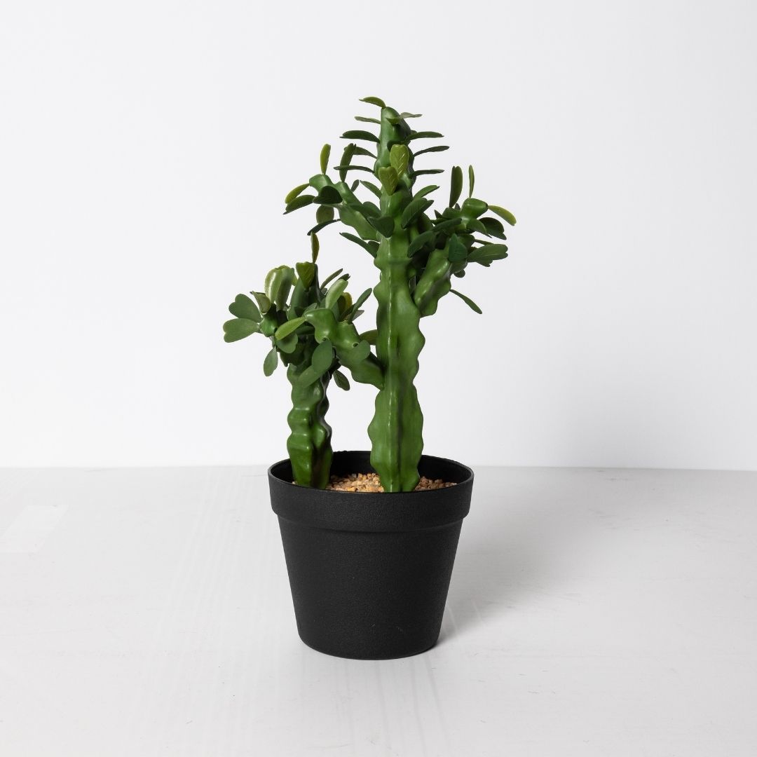 MK192 CACTUS FLORES 42CM