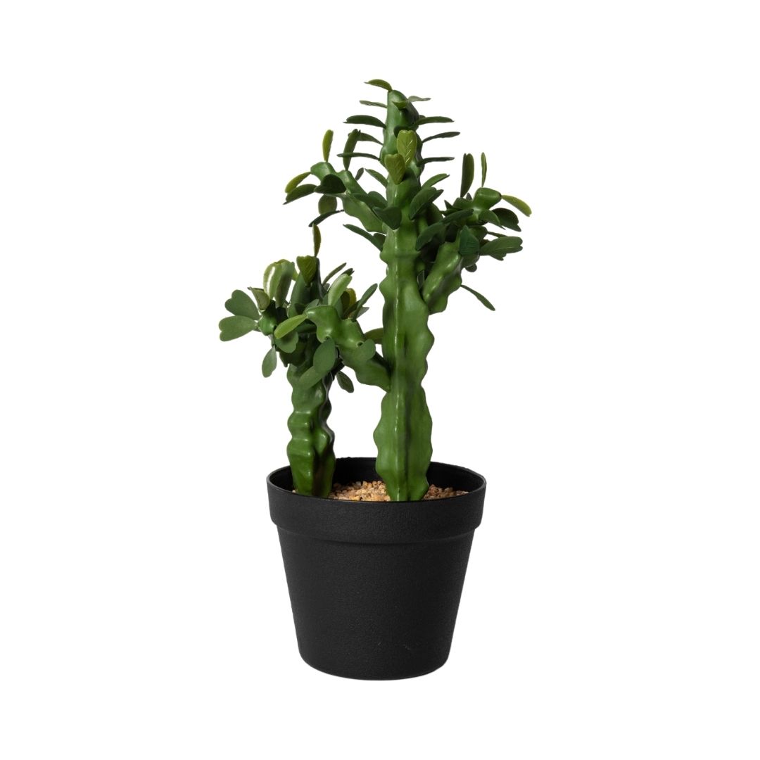 MK192 CACTUS FLORES 42CM