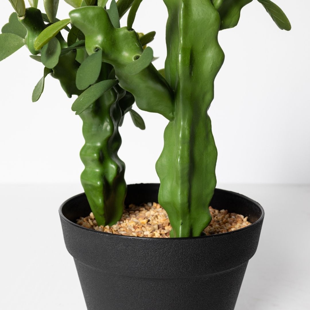 MK192 CACTUS FLORES 42CM