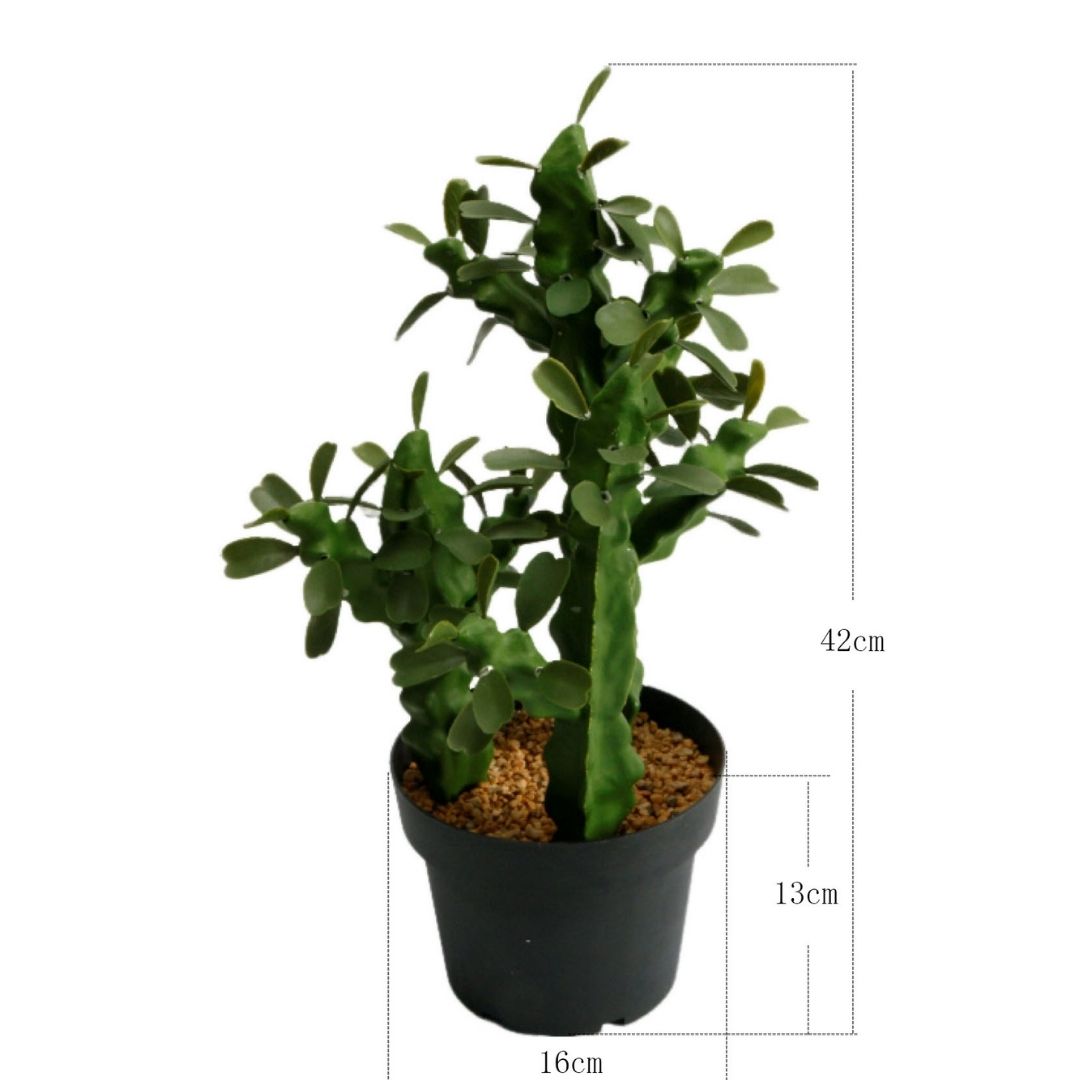 MK192 CACTUS FLORES 42CM