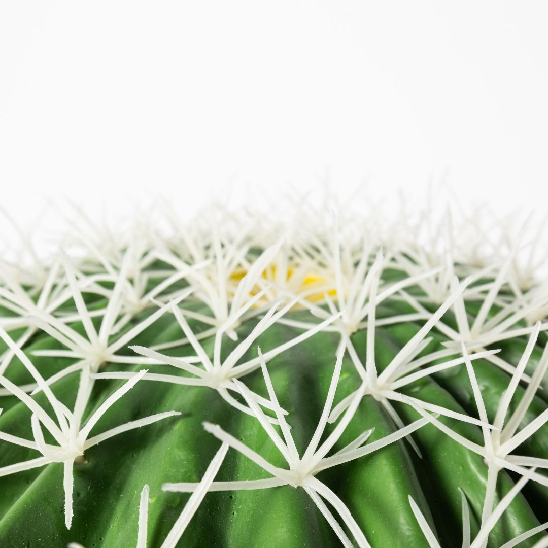 MK194 CACTUS 48CM BOLA CLARO