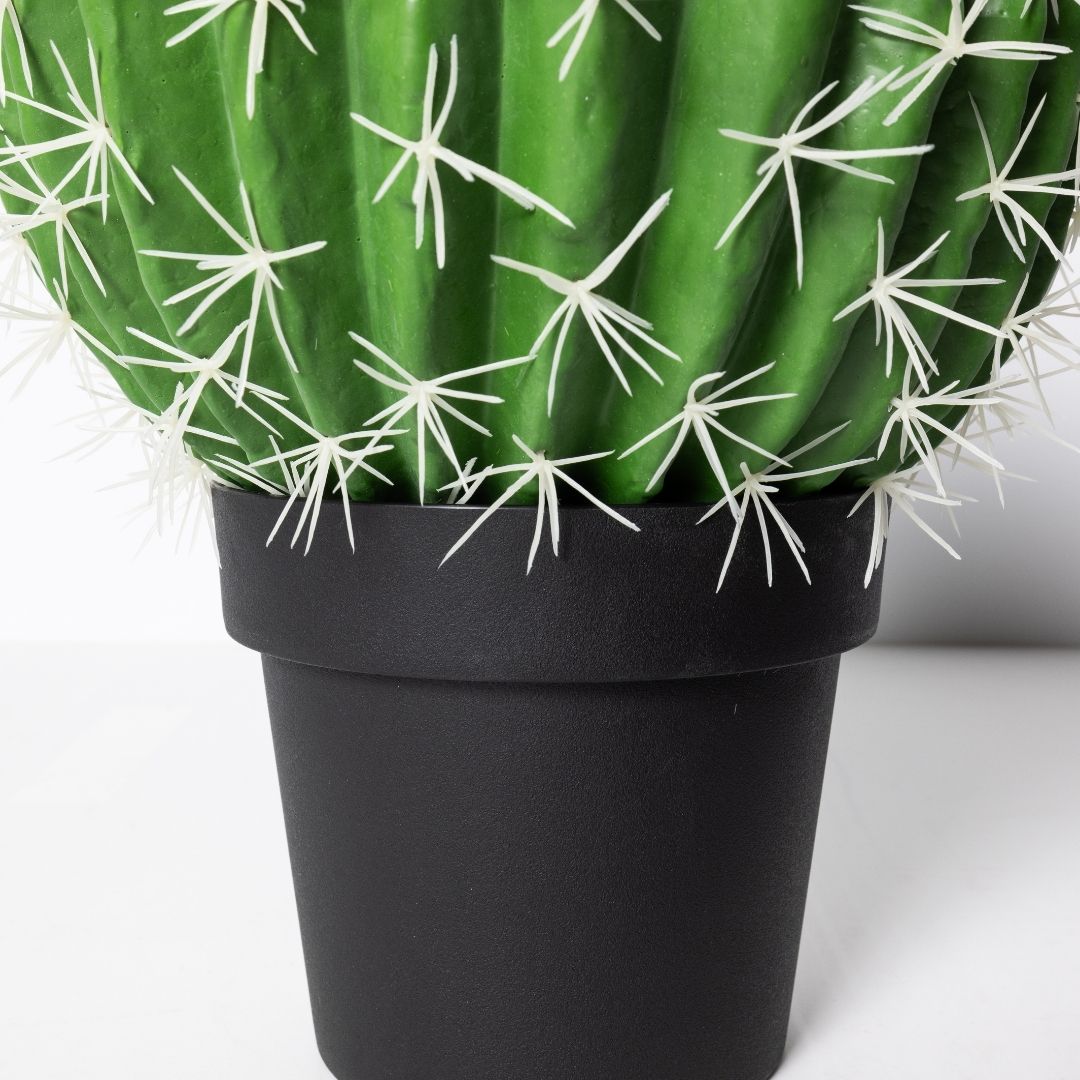 MK194 CACTUS 48CM BOLA CLARO