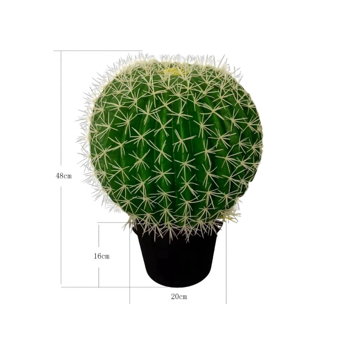 MK194 CACTUS BOLA CLARO