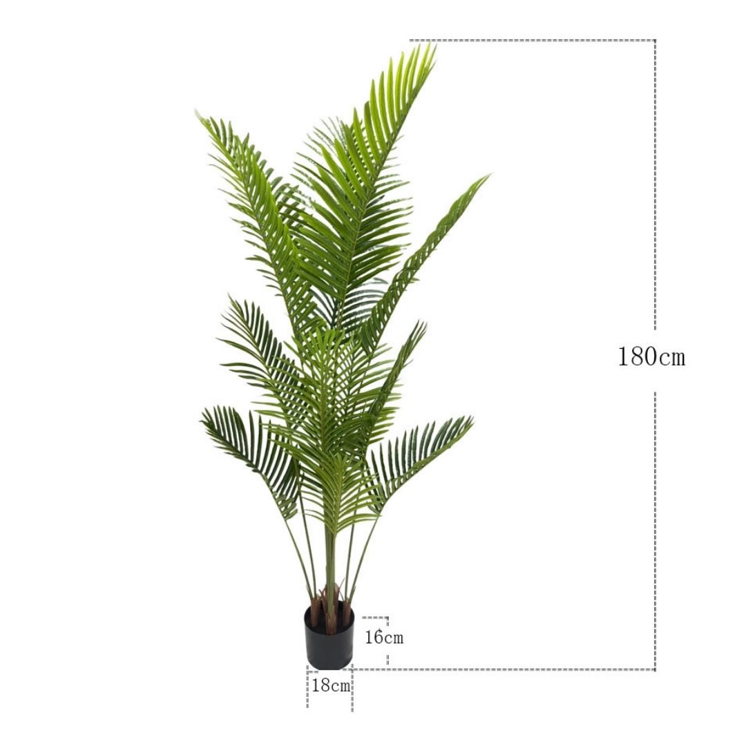 MK198 PALMERA 160CM
